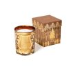 CIRE TRUDON Trudon 2021 Christmas Bayonne